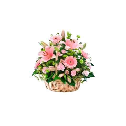 Send Pink Basket to Bangladesh