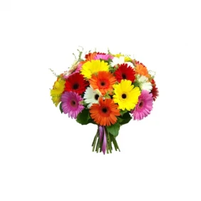 Send Mixed Gerbera in Bouquet to Bangladesh