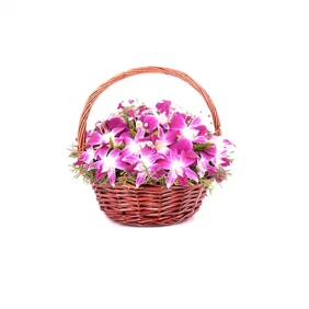 Orchids in a Basket to Bangladesh